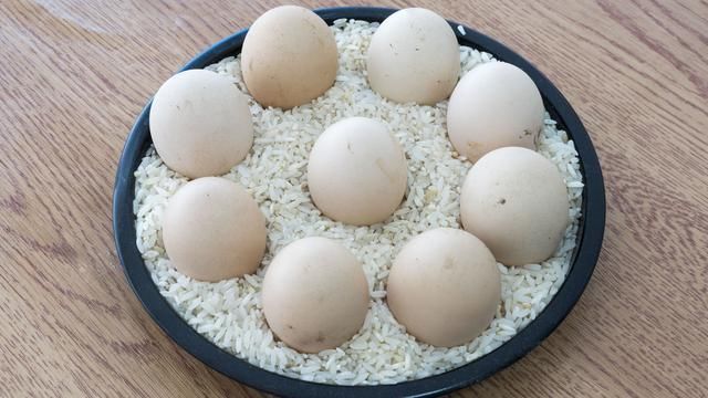  保存|养鸡大户透露，保存鸡蛋有秘诀，绝对不是放冰箱，放半年都不易坏！