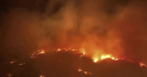 已致67人死亡！著名旅游胜地燃起大火！