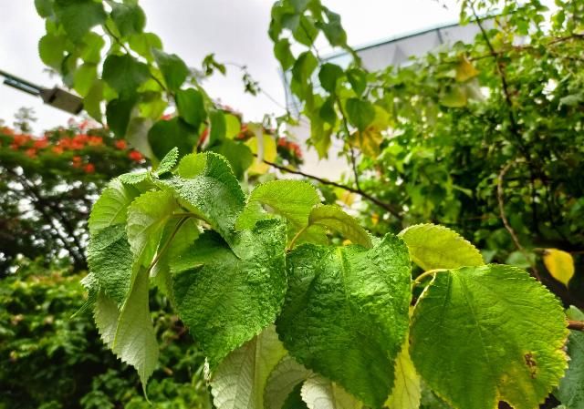 小米手机|Redmi K30 至尊版体验:既是「至尊」,又如何做到低价?