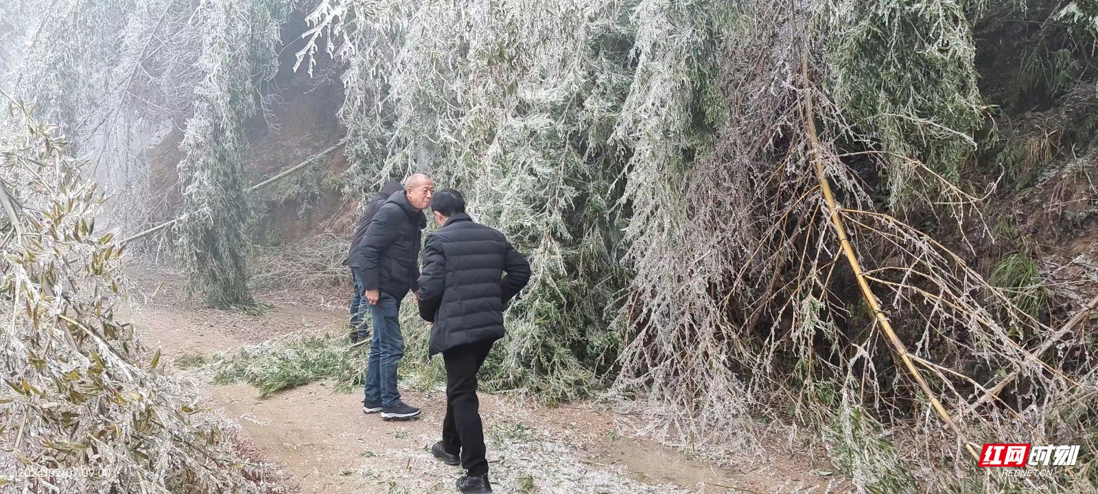 北湖区仰天湖瑶族乡：抗击雨雪冰冻 以行动温暖人心