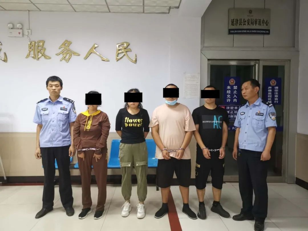 侦破|养“肥”了再宰，延津公安侦破“杀猪盘”骗局