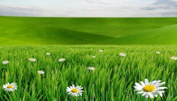  斑斓|回首往事，日子中竟全是斑斓的光影