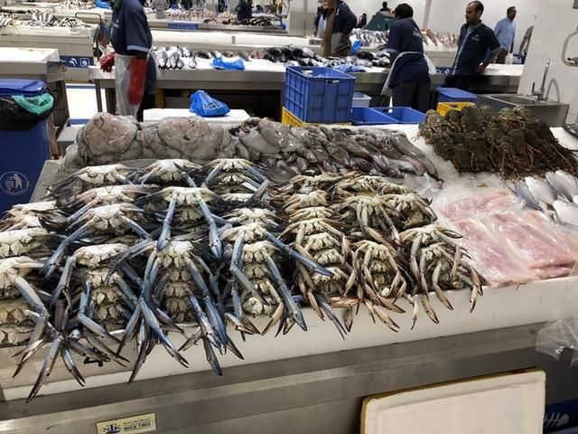 迪拜|迪拜人吃什么?到菜市场转一圈就明白了,帝王蟹、鲨鱼,应有尽有