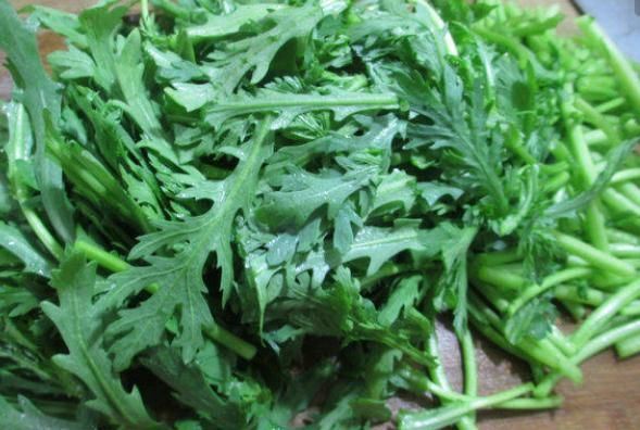  增添|饭前开胃菜，增添食欲清爽可口，孩子都爱吃隔三差五给孩子做一顿