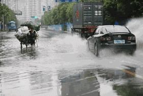 新一轮|还下？东明新一轮降雨来了，14天有11天在下雨...