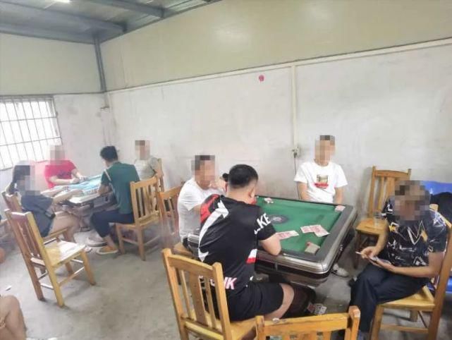 竹根|丑冇！平南大新多名男女竹根干这事，12人被抓了！