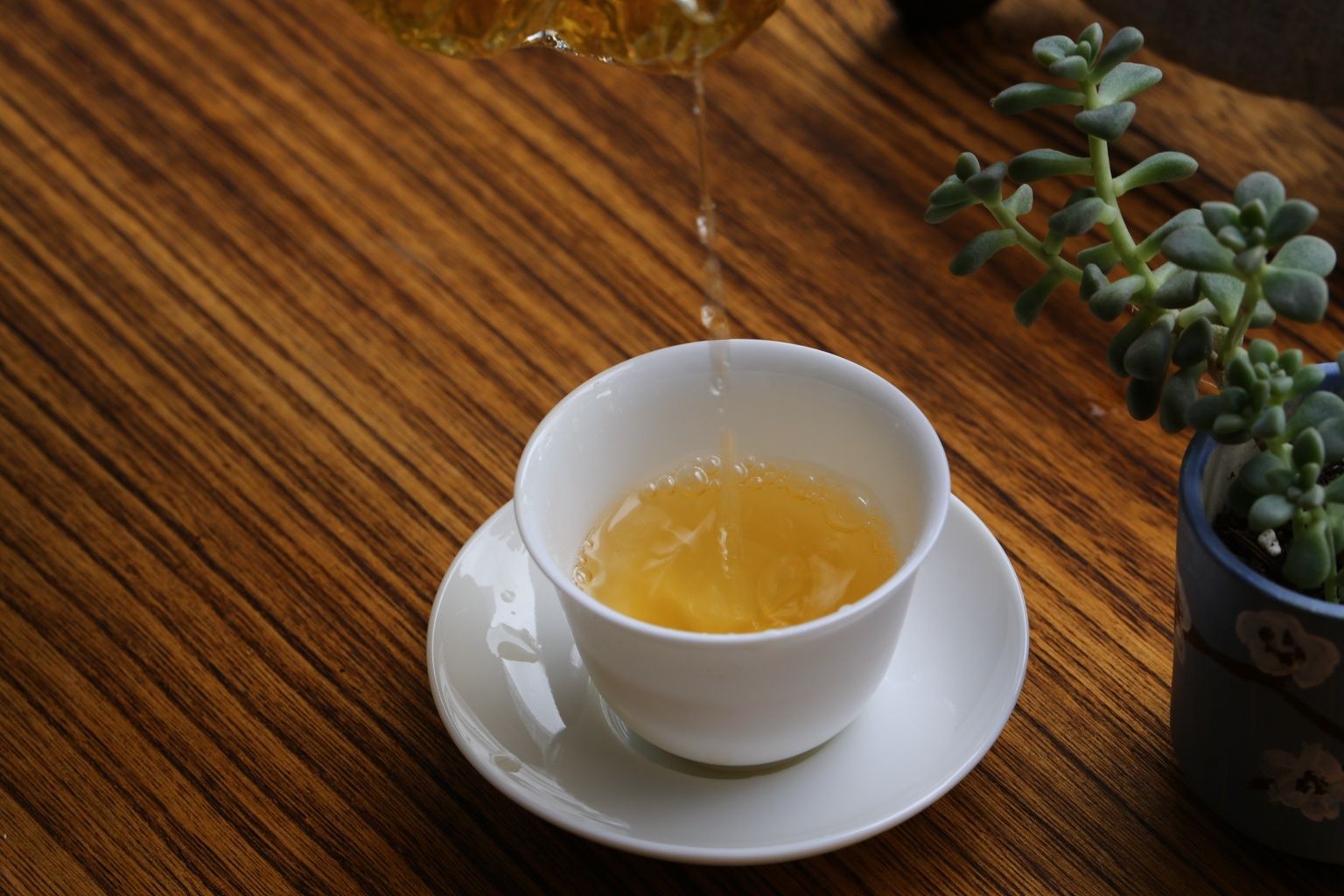 从容|习茶,从容淡远养成