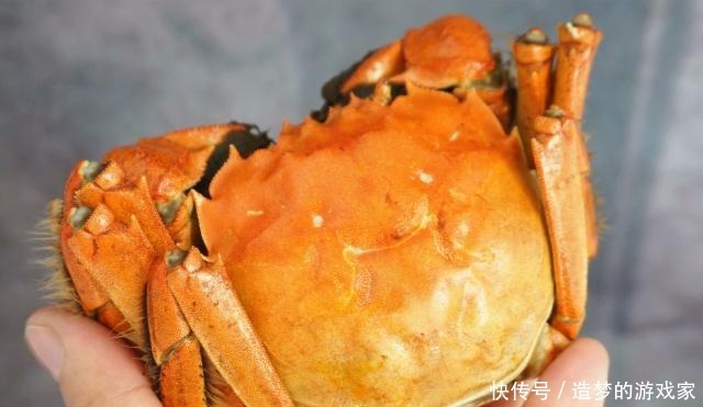 鲜美|蒸螃蟹时,很多人第一步就错了,难怪蟹黄外流,肉也不鲜美