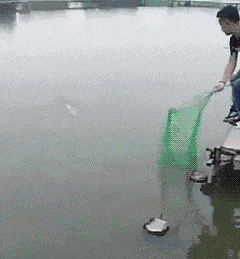 喜欢|搞笑GIF趣图:舍友最喜欢这样躺着玩手机,你们知道为什么吗?