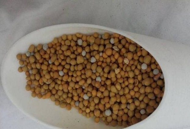 枝头|盆里扔2样东西,养花10年不烂根,叶子油光瓦亮,花苞挂满枝头!