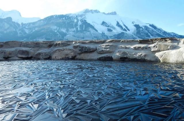  活久|30张“活久未见”的照片：被闪电击中的木头，好像一副国画