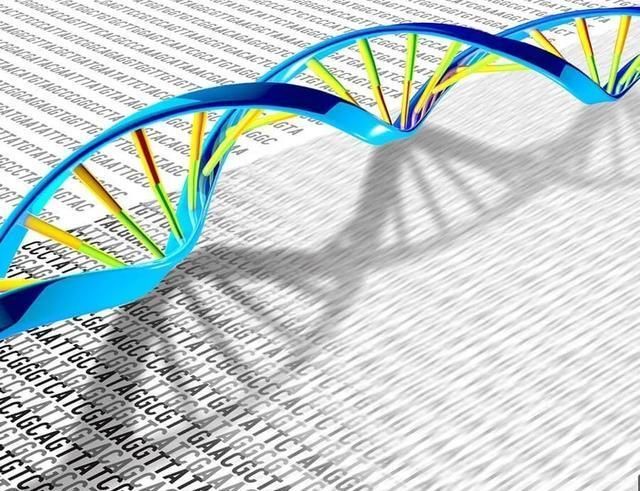 领域|今天聊聊当下网红分子诊断领域~