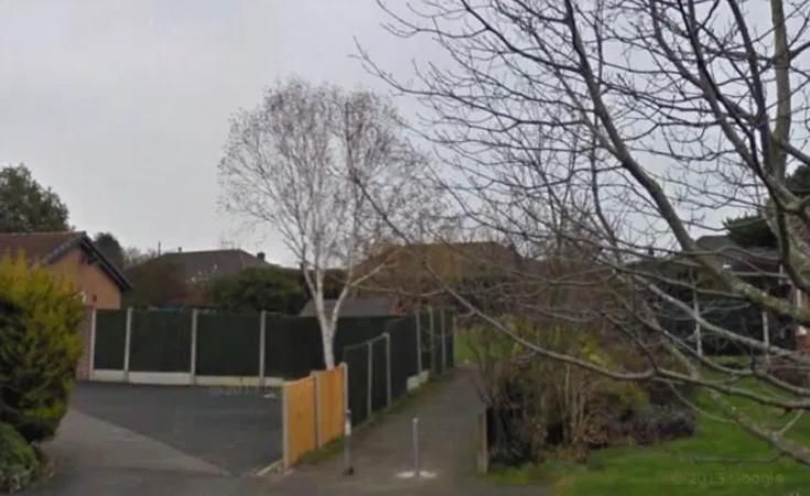  罗伯茨|女子脖子上缠着狗绳脸朝下趴在草地上，被两条狗活活勒死