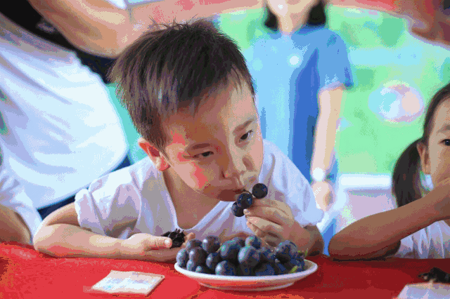 研究|清华最新研究：果糖“有毒”，扔掉果汁，少吃水果吧