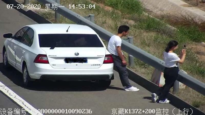  砂瓜|无语 || 高速公路上，这几人见路边硒砂瓜无人看管，竟下车顺手偷瓜！