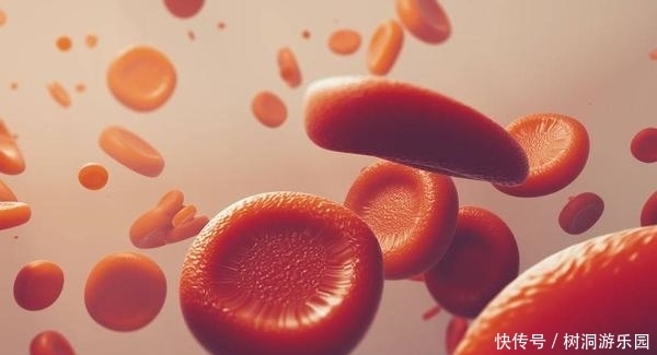  称为|这种蔬菜被称为“血栓斑块清道夫”，想血管畅通，日常不妨多吃点