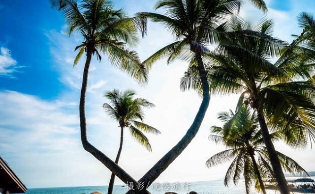  爱上读书馆|三亚，一个去了就不想走的城市4天3晚，带你玩转三亚精华