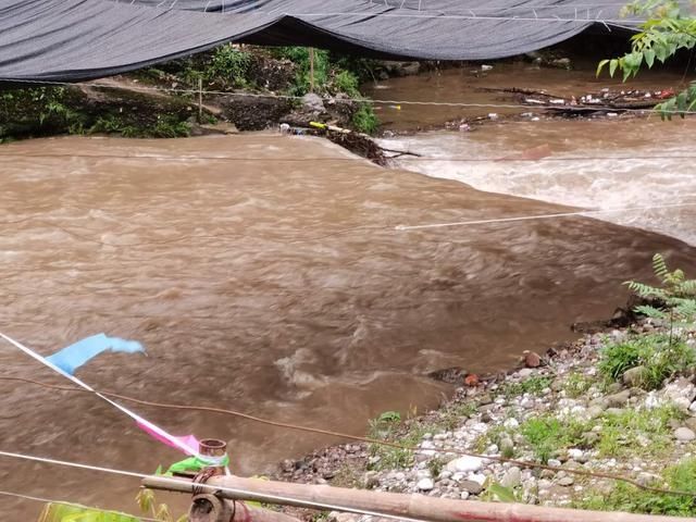 王女士|突发!都江堰3人落水,1人仍失联