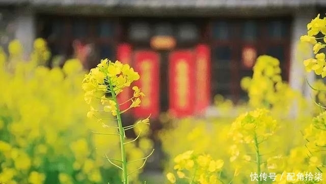 祖先|清明为什么要祭祖?这是我听过最好的答案