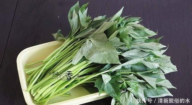  城里|这种叶子在乡下用来喂猪，在城里每斤6元，经常吃它皮肤变得柔软