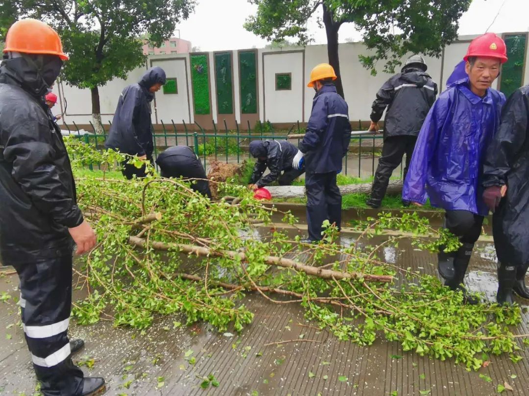 温岭|迎战台风“黑格比”，温岭全城在行动！