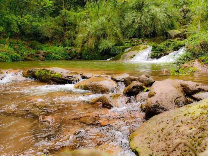  张家沟|阅读雨城丨寻茶张家沟
