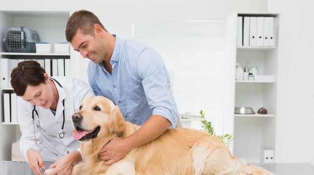  狂犬|人被狗狗咬伤以后，如果不打狂犬疫苗，会不会死？