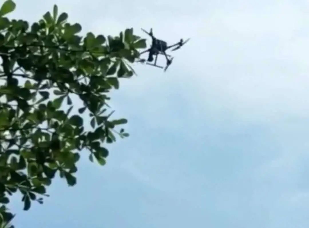 丰镇边肚|万宁警方悬赏5万元抓捕的嫌疑人落网！现场视频曝光