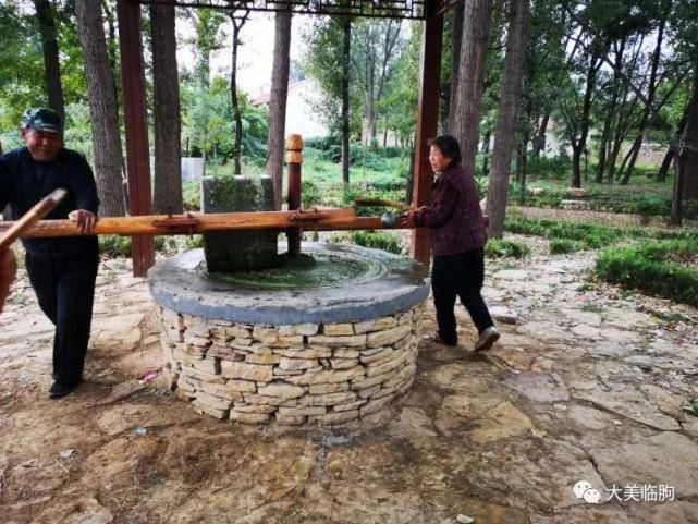 乡村|临朐、乡村、美食、熟悉的画面