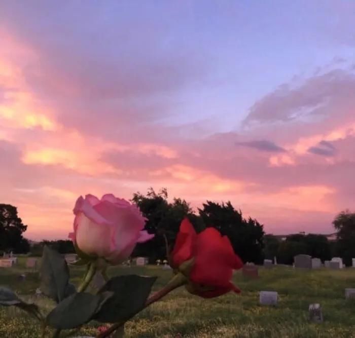  治愈|治愈系背景图：你知道我对你不仅仅是喜欢