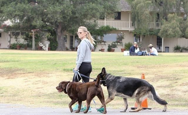  担心|狗对每个人都看得很好，他把他们都当作主人吗？别担心