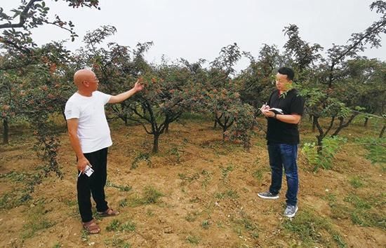  三门峡市|邮储银行三门峡市渑池县支行鼎力支持乡村农业生产发展