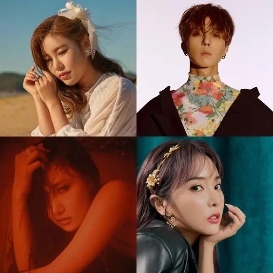  SBS|世勋&灿烈首张正规专辑阵容公开；宋佳人X洪真英X宋旻浩X华莎合流SBS新综艺《如果电视里出现那个》