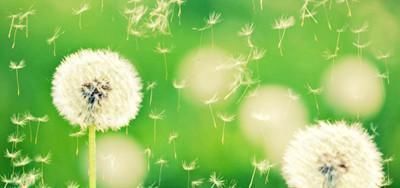  富贵|农历这几天出生的人,天生富贵享福命,令人羡慕