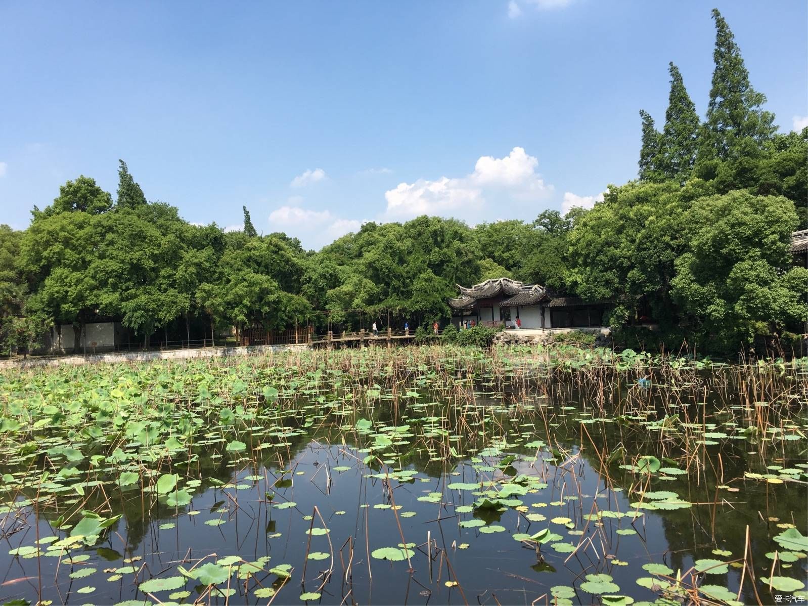  走过|南浔不会辜负任何从它生命里走过的人