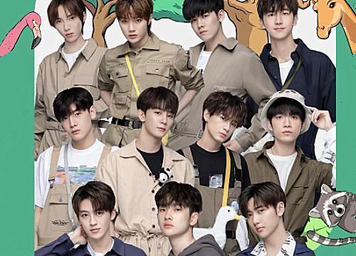 进前|最美偶像排名R1SE稳居第二,百分九THE9下滑快,硬糖进前十