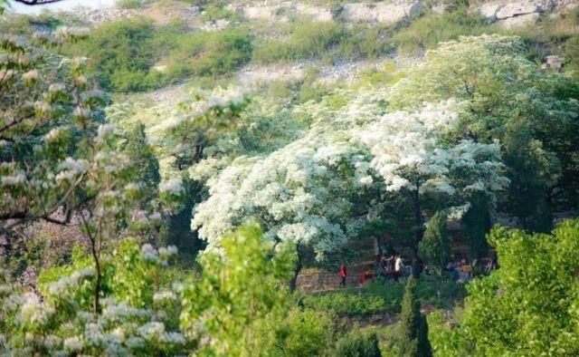 身份证|这些景区凭身份证就能进，你知道吗？