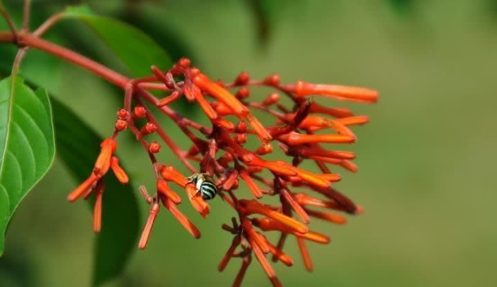  高涨|7月开始财气大旺，好事连连，贵人指路，收入高涨的四大生肖