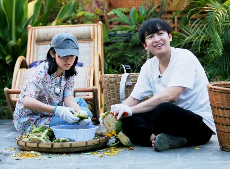  综艺|《向往的生活》口碑下滑，黄磊透露或将停更，观众却都不意外