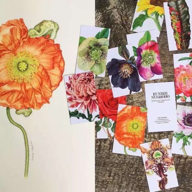  全职|一位全职妈妈喜欢疯狂画画，教你画水彩花卉