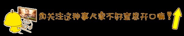  钉子户|郑恺、杨颖、李晨为何要做《跑男》钉子户看到包贝尔我明白了