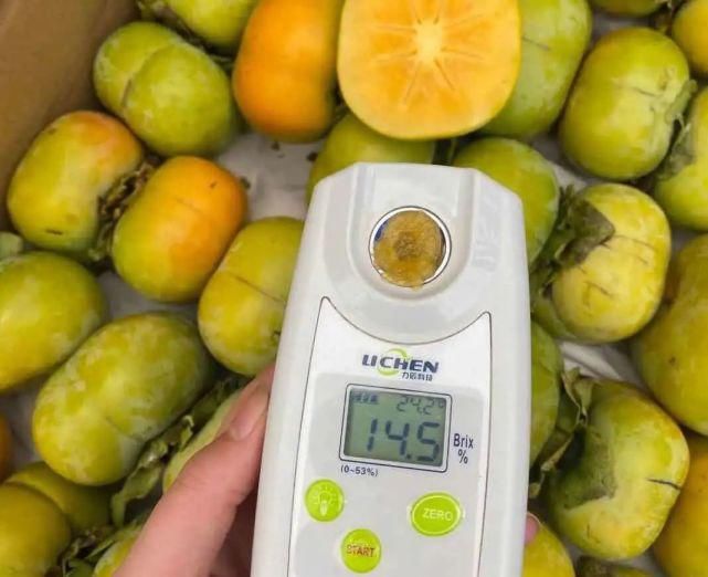 苹果|自带“冰糖心”的云南脆柿,爽似苹果,香甜不带涩