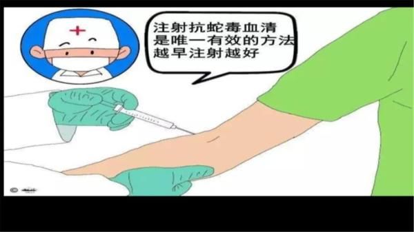  医院|惊！毒蛇溜进家，咬伤6岁孩子！这份自救常识能救命！