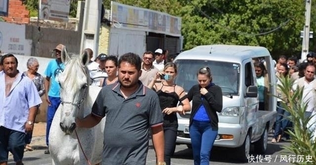 送行|主人离世,老马狂奔数公里送行,趴在棺木上不肯离去,让人落泪