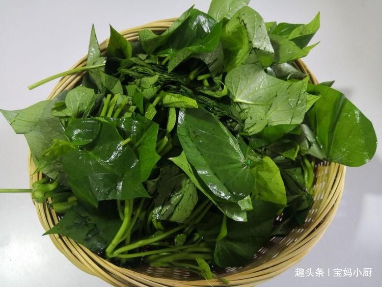 红薯叶子|和红薯是一家的菜,4元一把,晚餐来一盘,吃着肠胃舒服还减肉