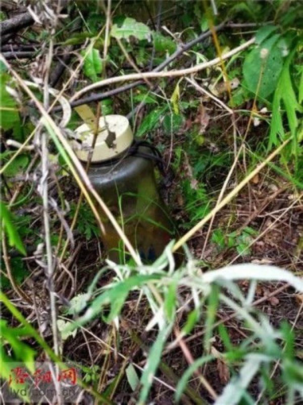  进山|极限求生！70岁老人进山迷路 靠喝水撑了9天