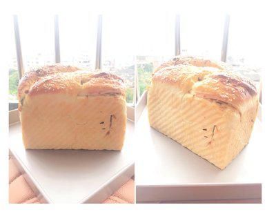  吐司|100个吐司练习