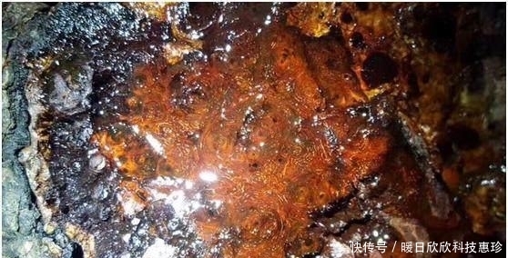 料子|捡漏得了块小叶紫檀大瘤料,切开之后买料人亏大了