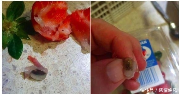  当心|当心！一周 3 起！澳大利亚超市接连出现“藏针水果”
