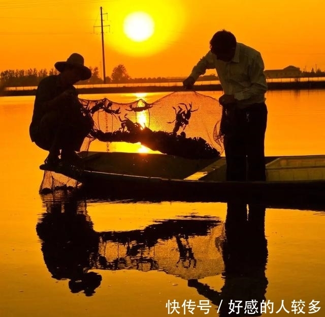 大闸蟹|为什么说阳澄湖的蟹,是中国的顶级食材